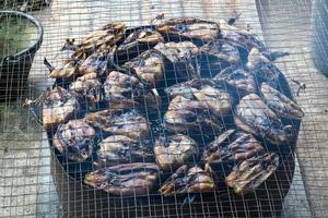 Snake smoked fish for preservation. photo