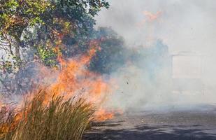 Grass fire smoke on the street. photo