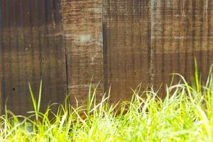 Old zinc wall with grass. photo