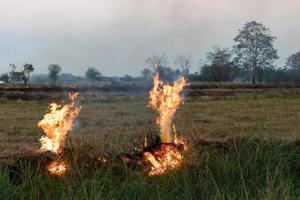 Flames on a grass mound. photo