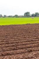 Prepare soil tillage cultivation. photo