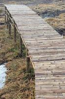 Bamboo bridge stretches over dry rice fields. photo