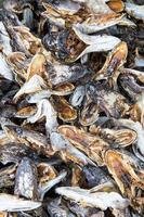 Dried fish heads. photo