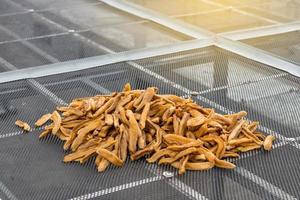 Close-up of dried banana in Greenhouse Solar dryer. photo