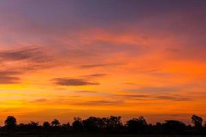 Yellow predawn sky orange. photo