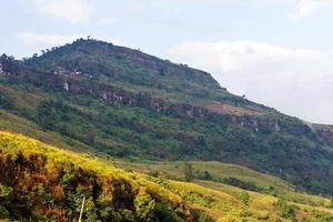 las montañas son deforestación. foto