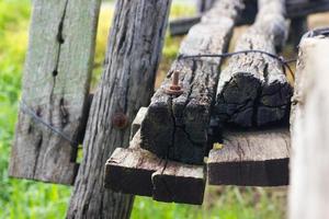 Close-pillars old wooden bridge. photo