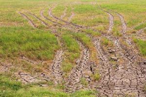 Wheel tracks barren paddy. photo