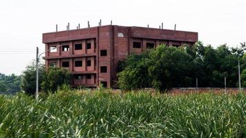 Brick Building Wilderness in Forest Grass. photo