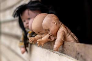 Old baby doll looking out of the wooden wall. photo