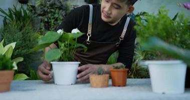 Portrait front view of a happy young asian male gardener holding and looking to plant while sitting in the garden. Home greenery, selling online and hobby concept. video