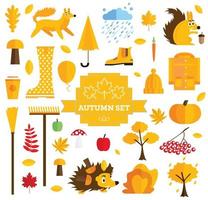 Set of Autumn Elements Isolated on White Background. vector