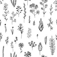 Seamless pattern flowers and herb black. Vector drawing.