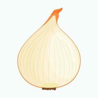 Half of onion isolated on background. Flat vector illustration.