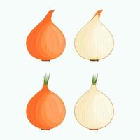 Set of onions isolated on white background. Flat vector illustration