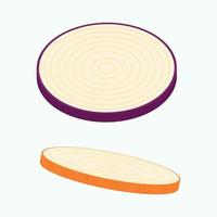 A piece of onion isolated on background. Flat vector illustration.