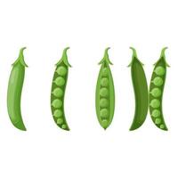 Set of peas isolated on white background. Flat vector illustration.