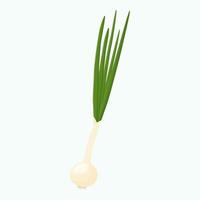 Whole green onion isolated on background. Flat vector illustration.