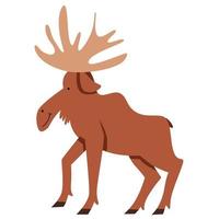 Vector illustration of a flat style moose