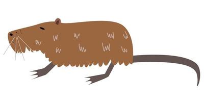 Vector illustration of nutria in a flat style