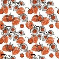 Seamless pattern with dried flowers of physalis, drawn doodle elements in sketch style. Physalis. Phyzalis lace on white background vector