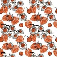 Seamless pattern with dried flowers of physalis, drawn doodle elements in sketch style. Physalis. Phyzalis lace on white background vector