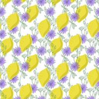 un patrón impecable de limones y flores de achicoria, elementos de garabatos dibujados al estilo boceto. flores de color púrpura brillante y fruta de limón sobre un fondo blanco. achicoria vector