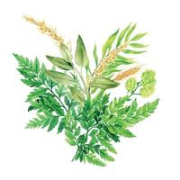 Herbal watercolor bouquet with ferns and ears, hand drawn vector watercolor illustration