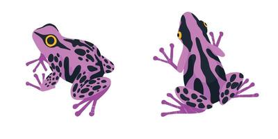 dos ranas tropicales, juego de dos, vector dibujado a mano