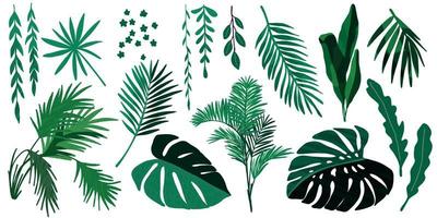 Tropical leaves collection, hand drawn vector set