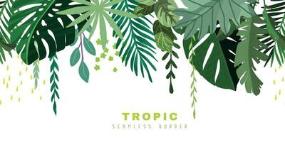 Tropical seamless border with monstera leaves vector