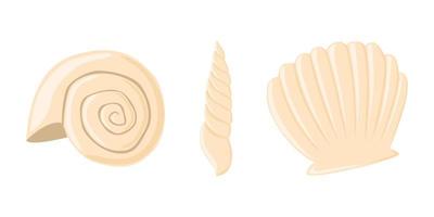 Empty seashell flat vector isolated illustration collection