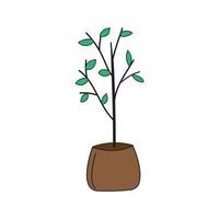 tree seedling in a bag vector