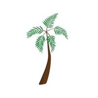 Vector illustration palm tree