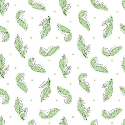 Vector illustration Basil pattern