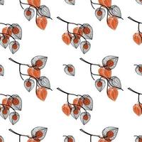 Seamless pattern with dried flowers of physalis, drawn doodle elements in sketch style. Physalis. Phyzalis lace on white background