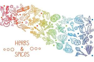 Herbs and spices, hand-drawn doodle-style elements. Layout of packaging on a white background. Rainbow of aromatic plants. Culinary. Postcard design. Sketch style vector