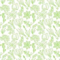 Seamless herbal pattern, drawn element in doodle style. Green silhouettes of herbs and spices on a white background chili, vanilla, barberry, rosemary, bay leaf, etc. Pattern in a fashionable linear. vector