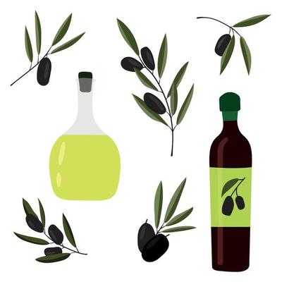 Olive Vector Art, Icons, and Graphics for Free Download