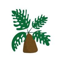 Vector illustration palm tree