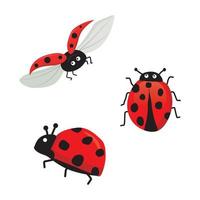 Vector illustration of ladybugs set