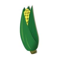 vector illustration of corn plant