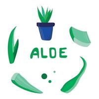 vector illustration set of aloe plant in doodle style