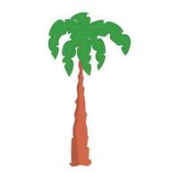 Vector illustration palm tree