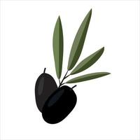 vector illustration of olive branch