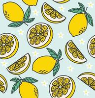 Fresh lemon slice Fruits seamless pattern vector