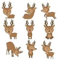 Cute Deers in different poses vector