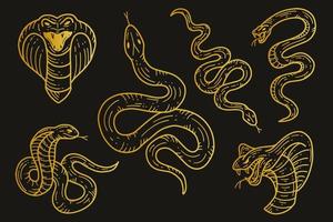conjunto de ilustración de colecciones de veneno de víbora de serpientes