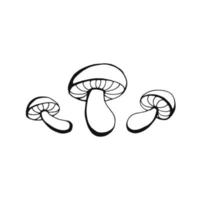 Hand drawn mushroom outline. Line art style isolated on white background. vector