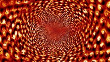 Abstract fantasy hypnotic nest orange circle tunnel video